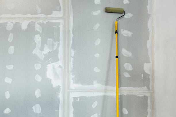 Mold Removal for HVAC Installations in Parkersburg, IA