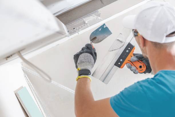 Reliable Parkersburg, IA Mold Removal Solutions